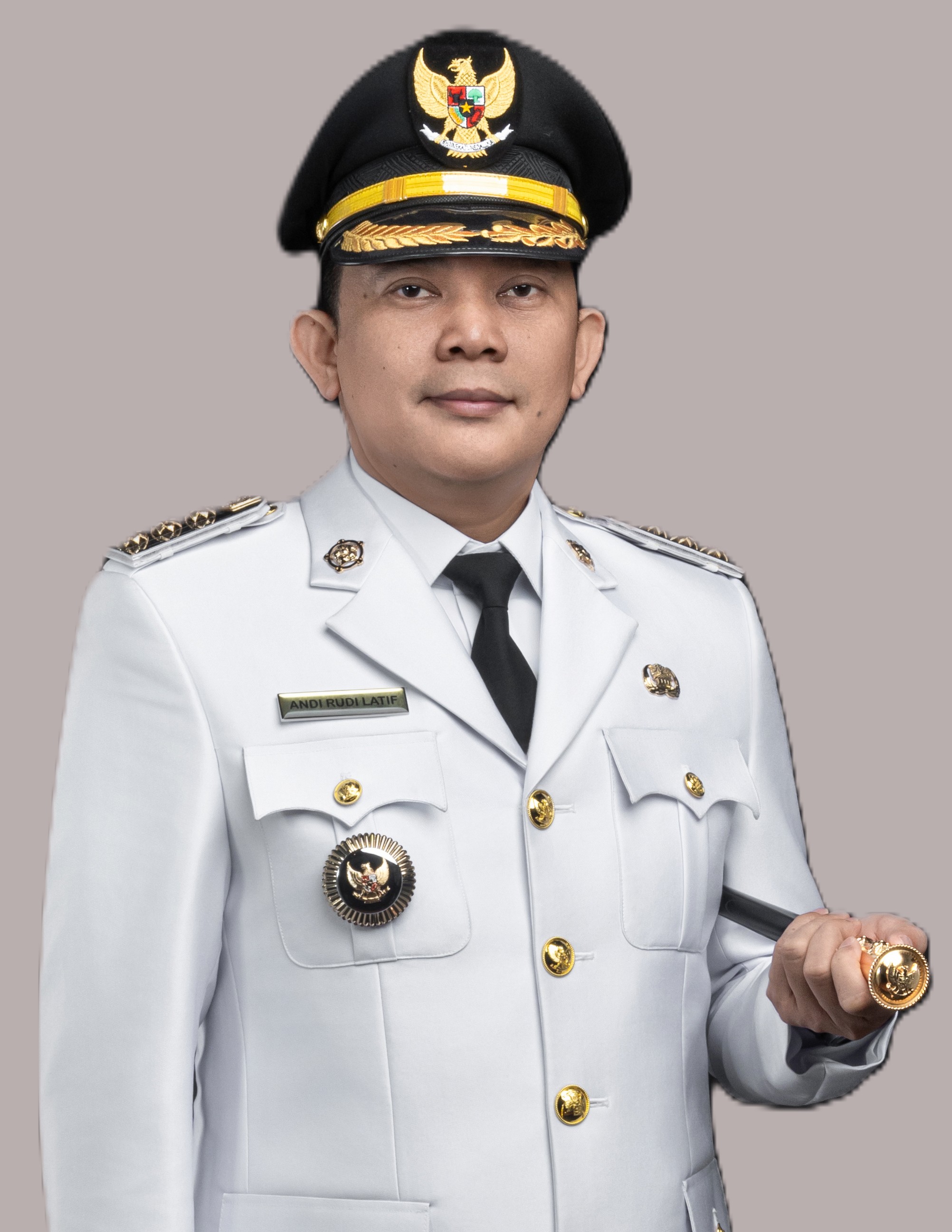 Bupati Tanah Bumbu